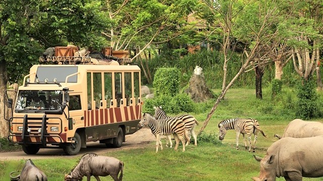 Bali Safari