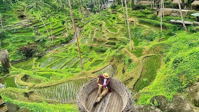 Tegalalang